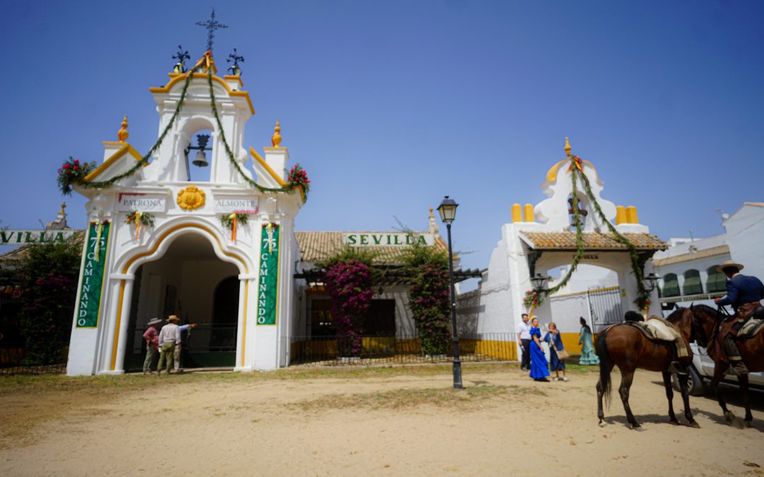 Normativa Camino 11 de octubre